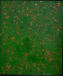 “Paesaggio foglie” 2000  Olio su tela  100 x 120 cm